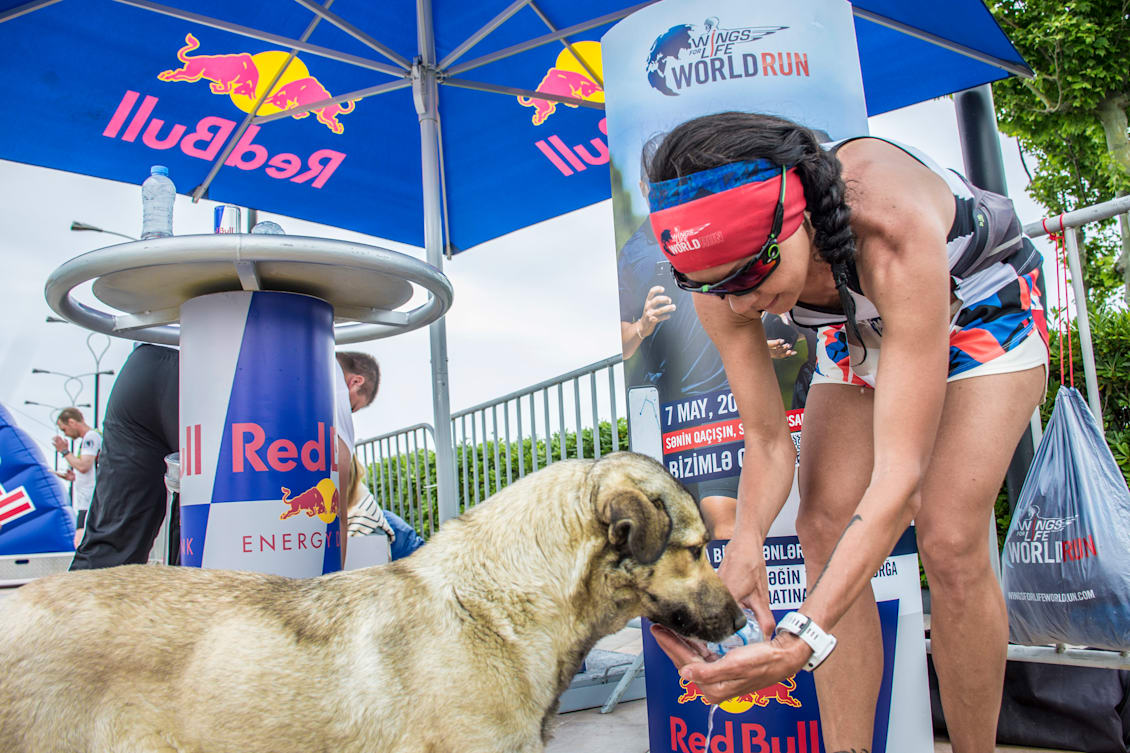 Marafonçu susuz itə biganə qala bilmir