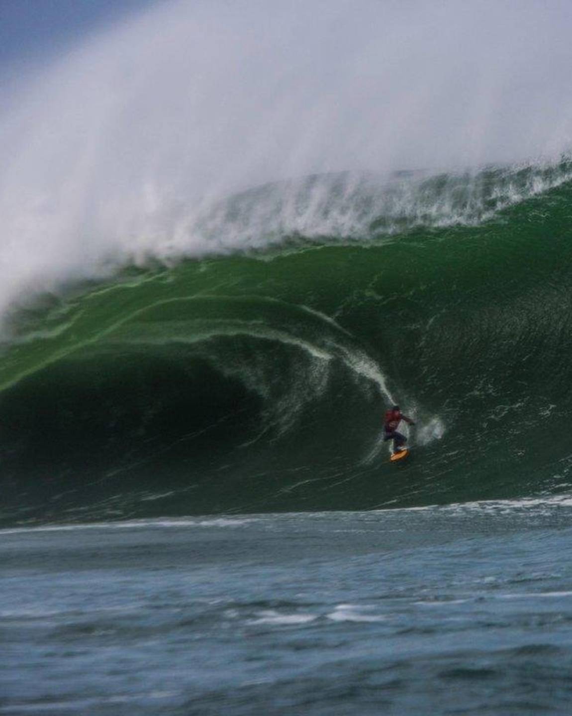 How To Be A Pro Surfer Find Out What It Takes