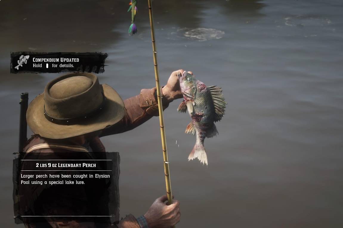 Red Dead Redemption 2 How To Fish On Pc Consoles