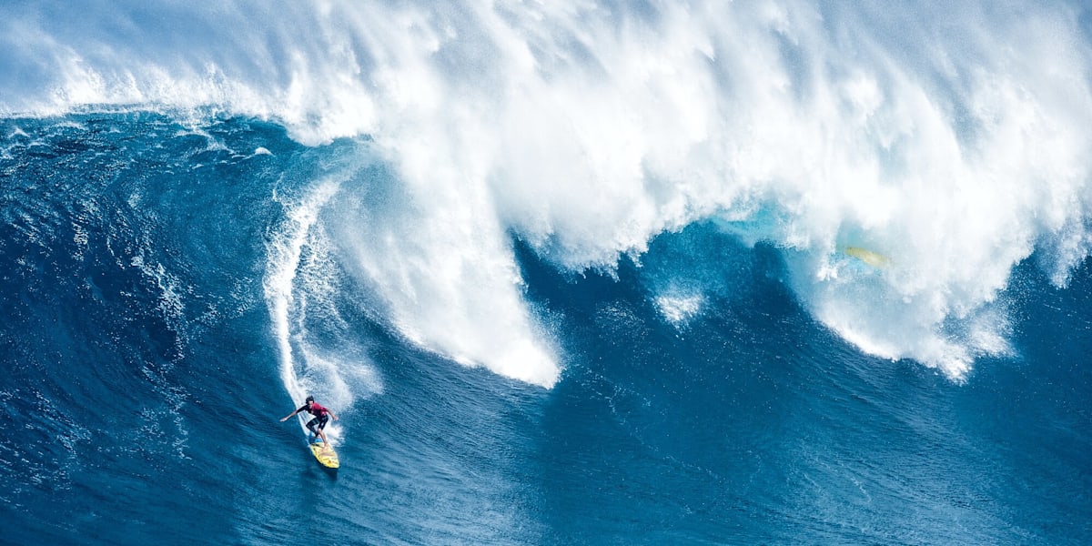 JAWS_Gilman_2014_2996
