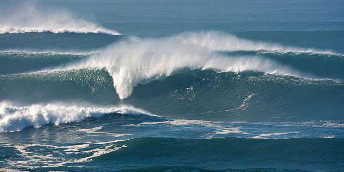 Nelscott reef big wave classic best sale