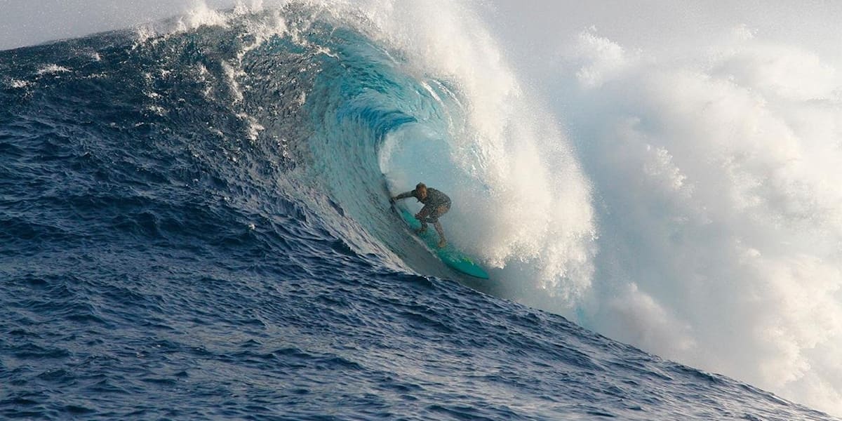 Paige alms surfer new arrivals