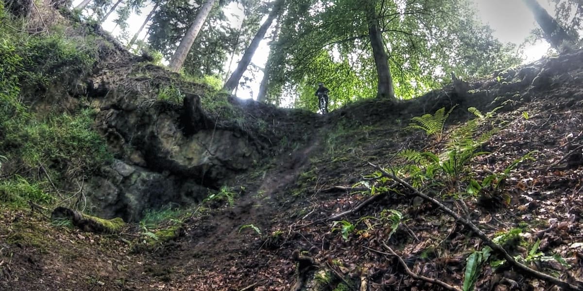 Forest of Dean Guide All you need to know