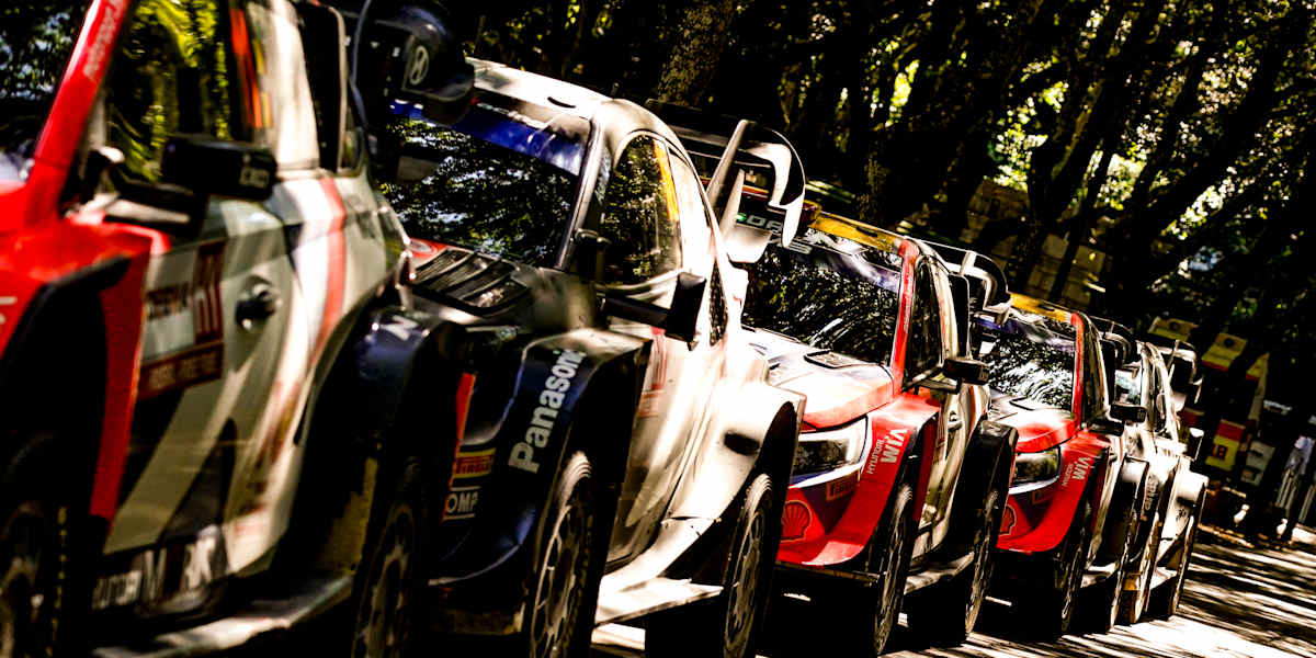 wrc-2024-cars