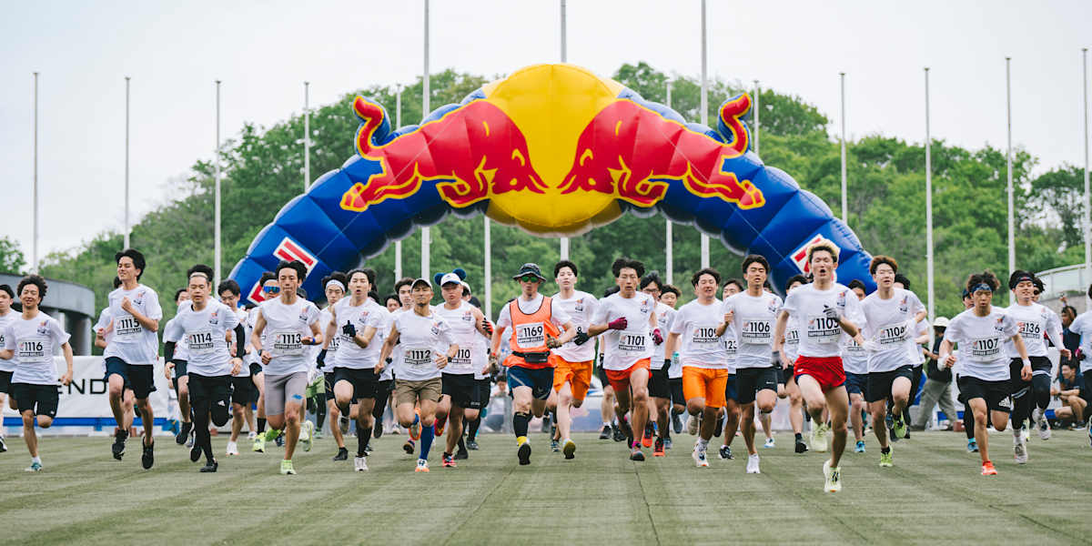 REDBULL 40本 REDBULL 40本 【公式通販】