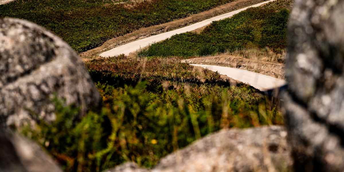 Follow every ERC stage with live updates