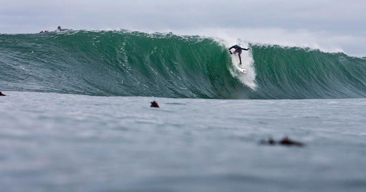 Hudson bay surfing discount