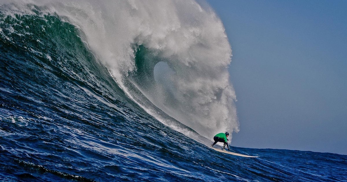 Nelscott reef big wave classic best sale