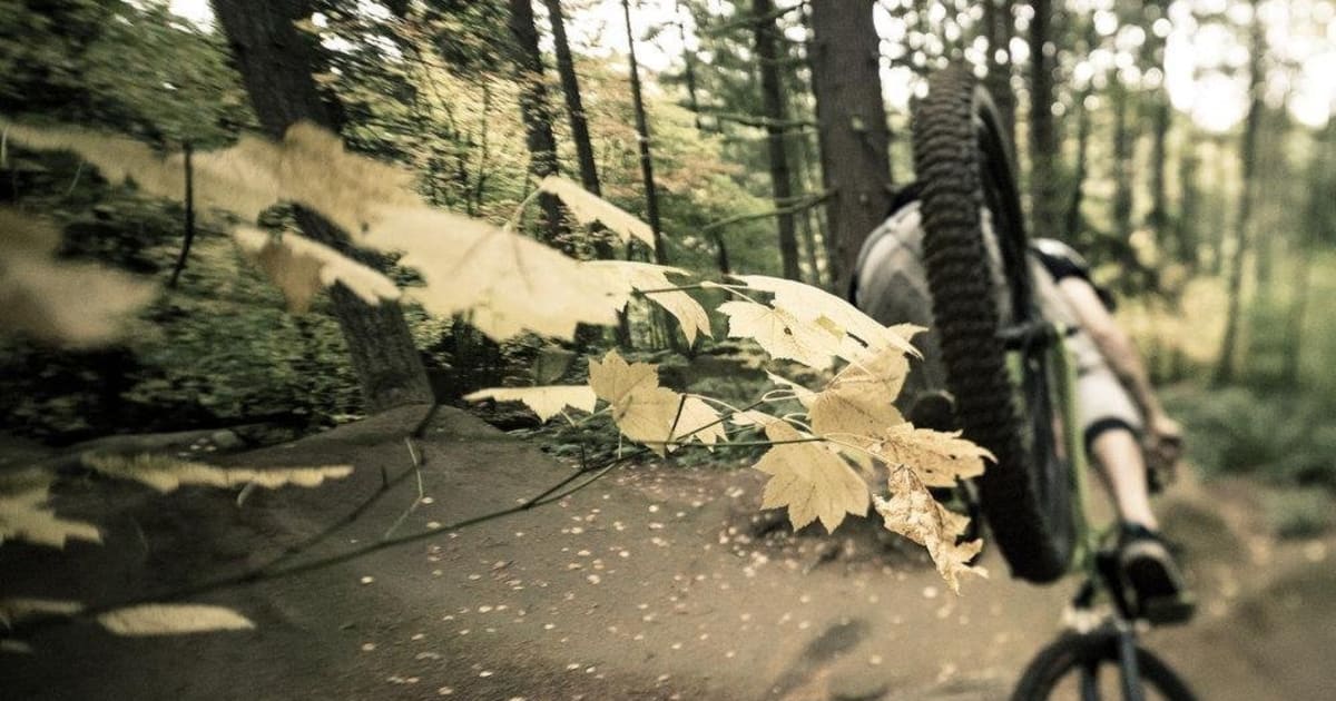 steven-bafus-no-whip-estilo-