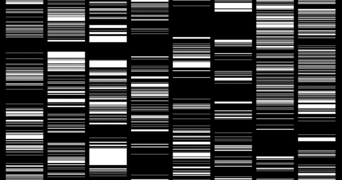 RYOJI IKEDA 『TEST PATTERN』　R-N 093　池田亮司 RYOJI IKEDA / TEST PATTERN | Fragile フラジャイル 大阪
