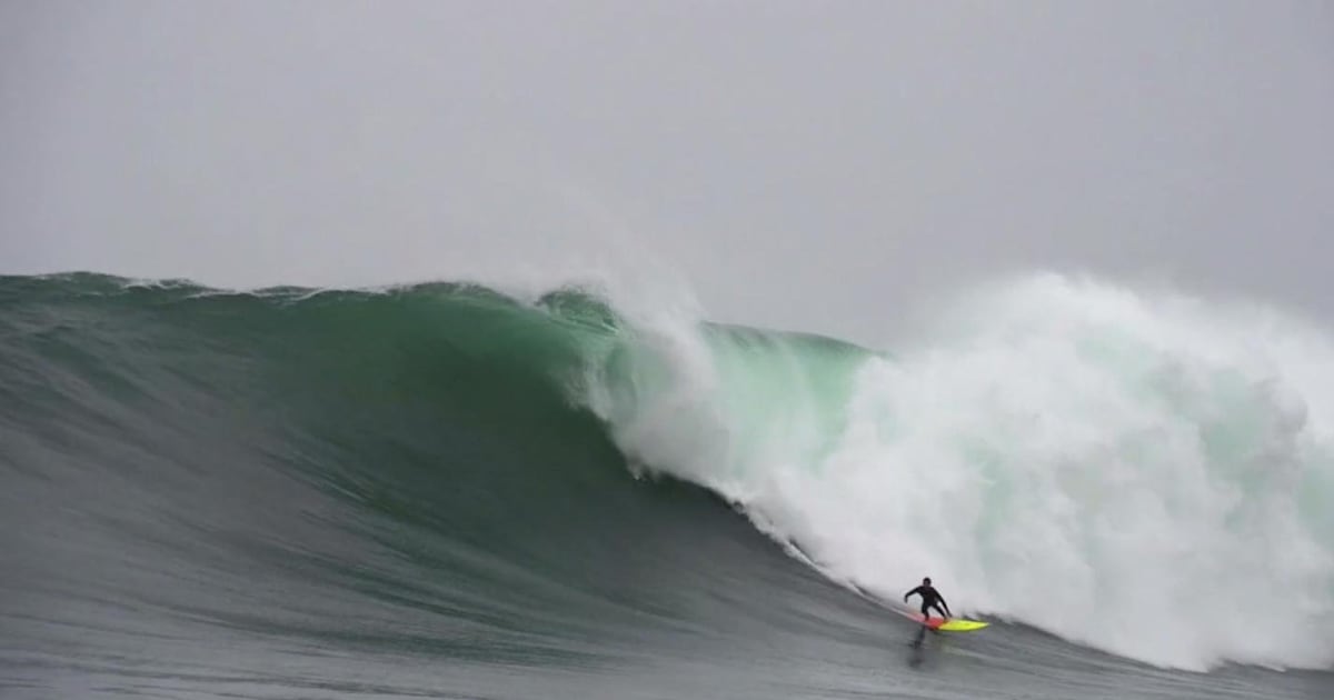 Filmers Large Pico Alto returns