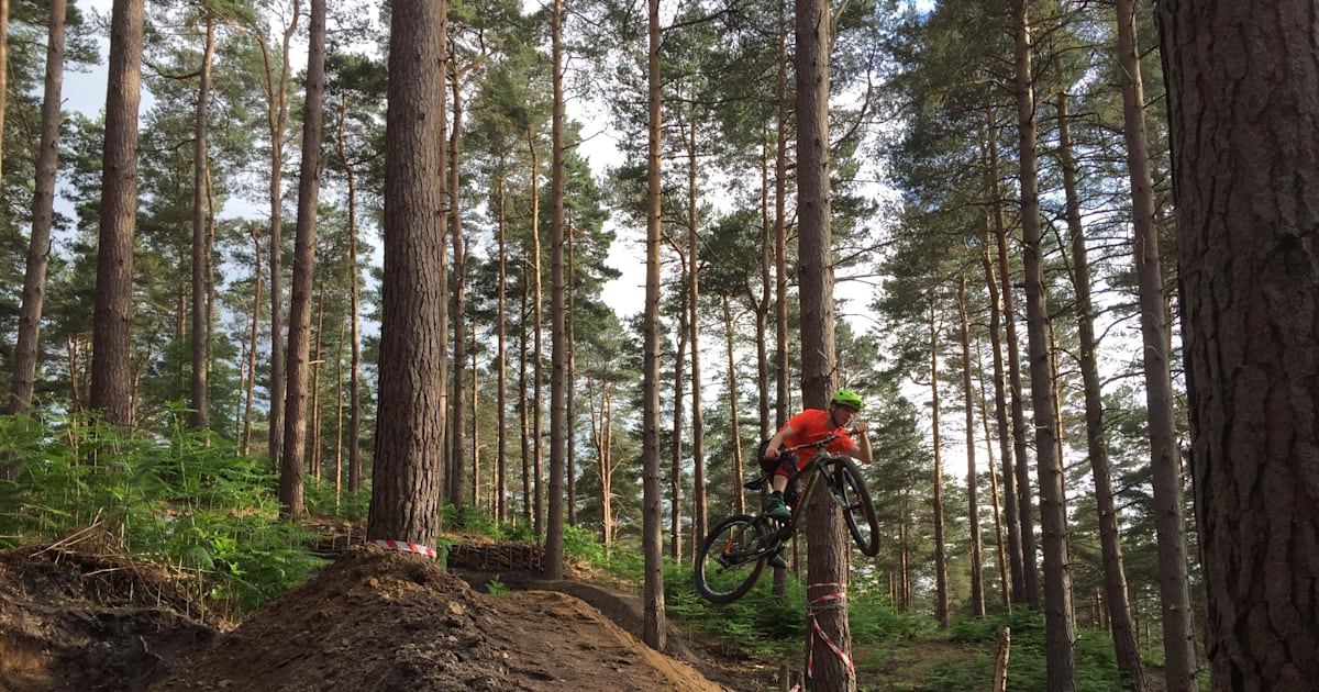 Swinley Forest MTB Everything you need to know