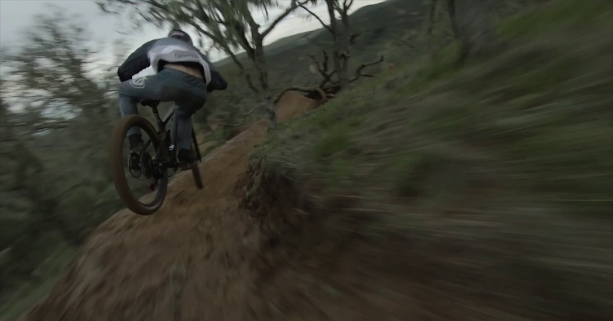 Moving Images - Rupert Walker
