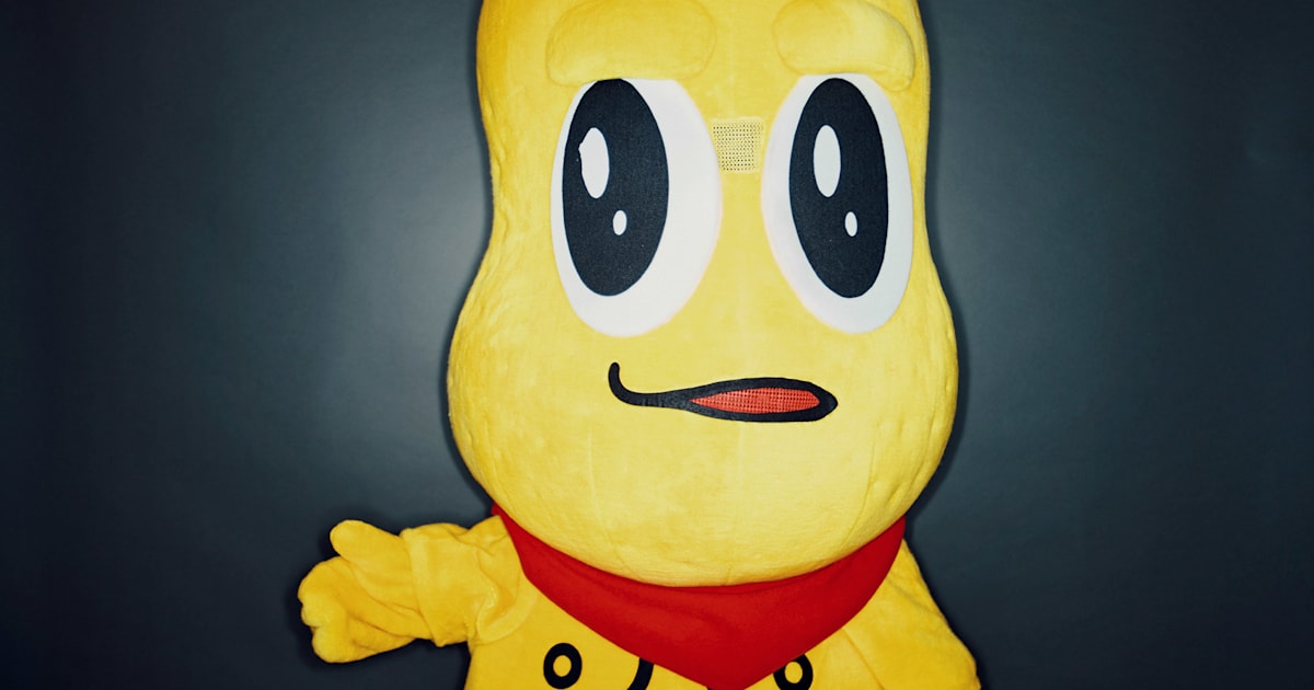 ピーナッツくんインタビュー『怖いひとたちだったらどうしようとか