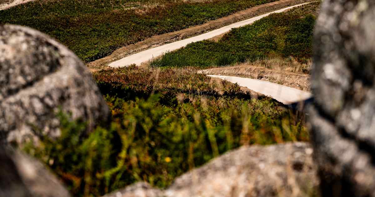 Follow every ERC stage with live updates