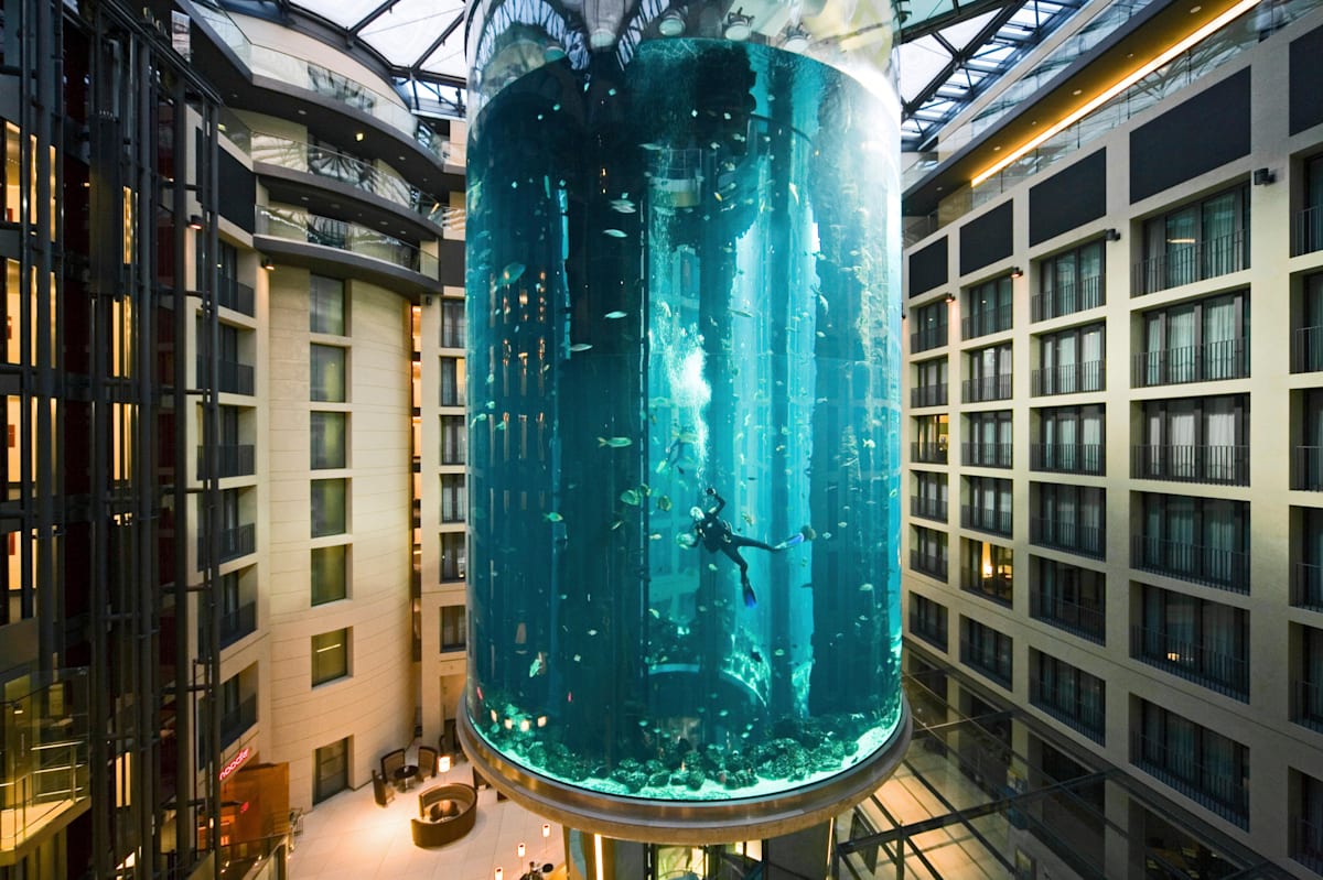 The centre of the aquatic action in Berlin