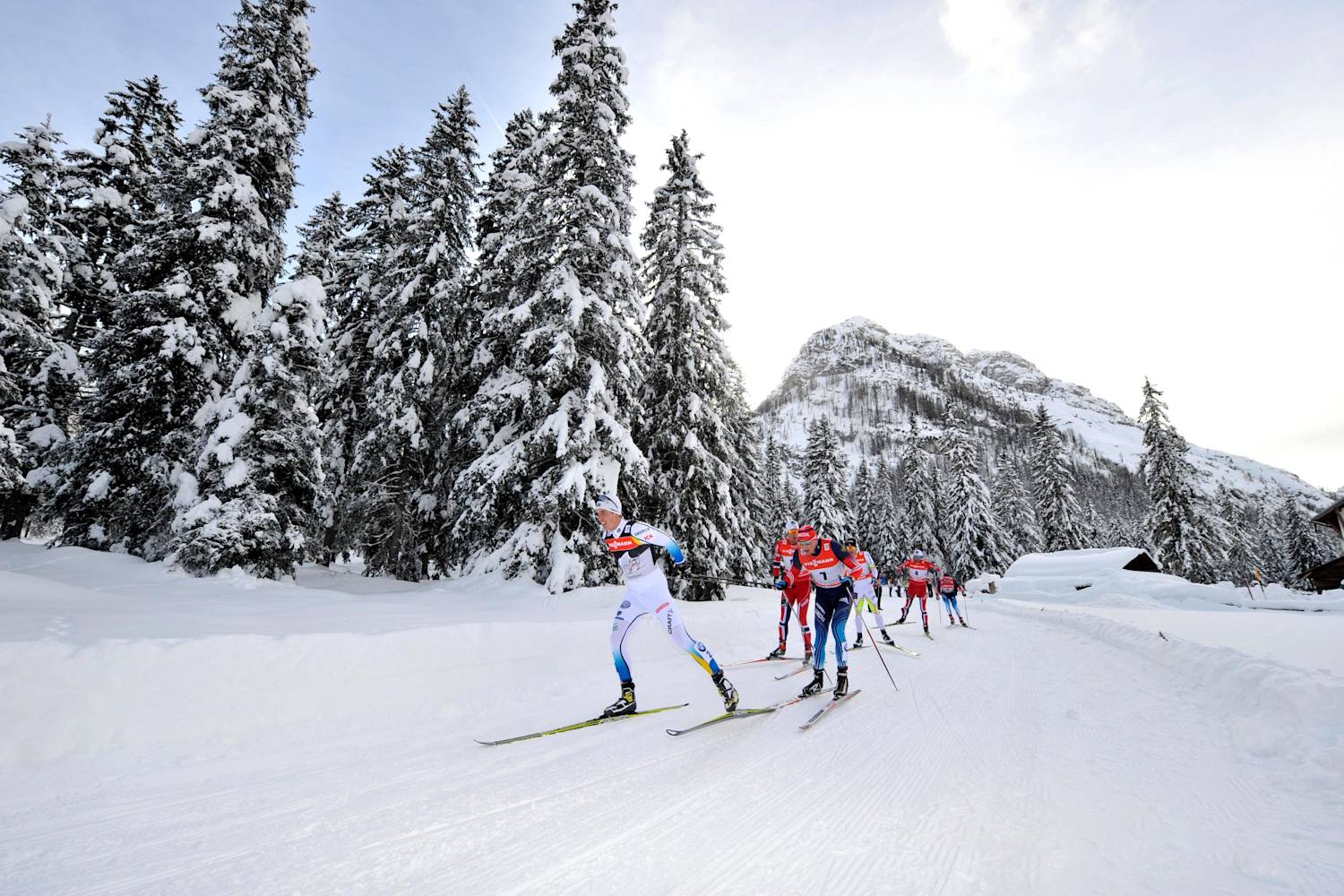 wer dominiert den skilanglauf weltcup