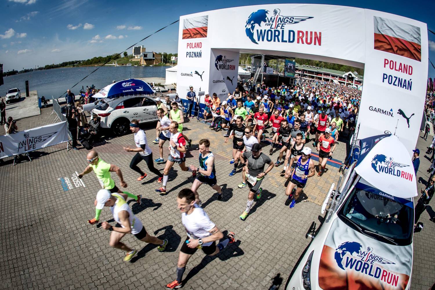 Wings for Life World Run 2016 Poznań rejestracja