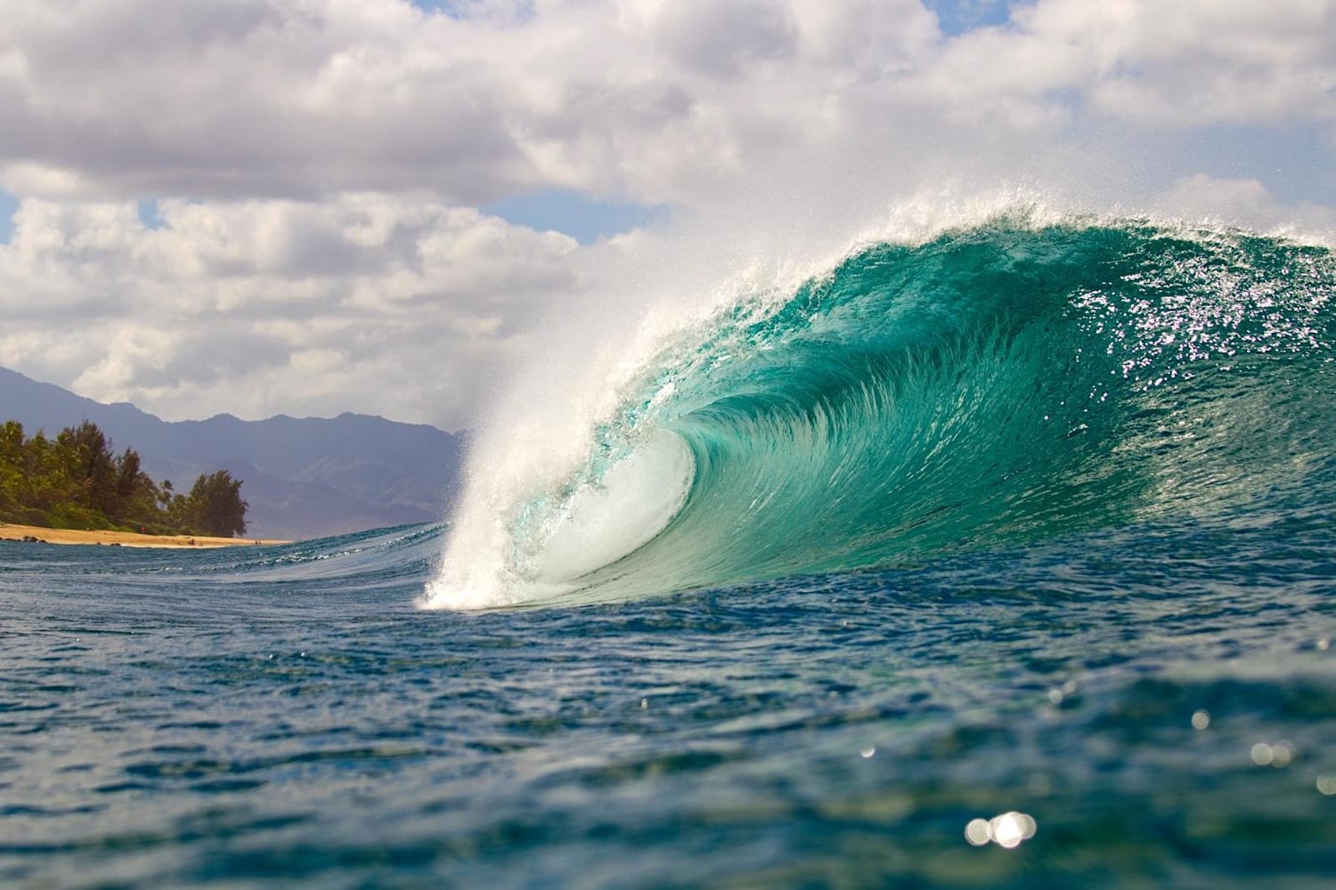 Billabong Pipe Masters Day 2