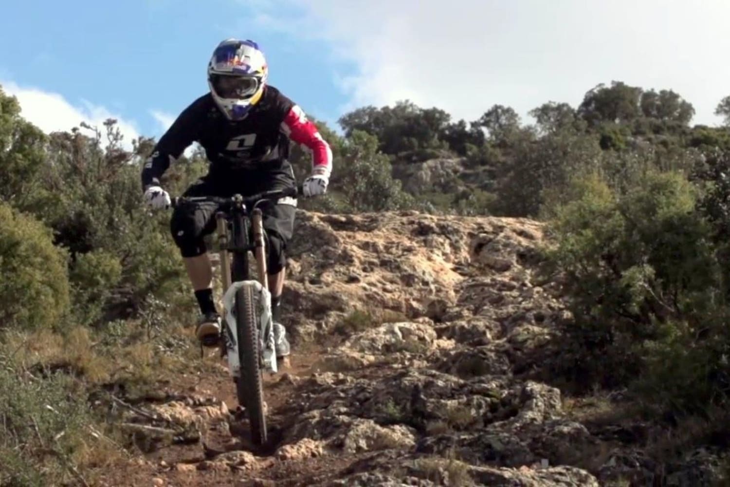 fox 40 downhill