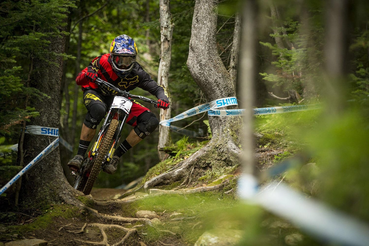 mont sainte anne downhill