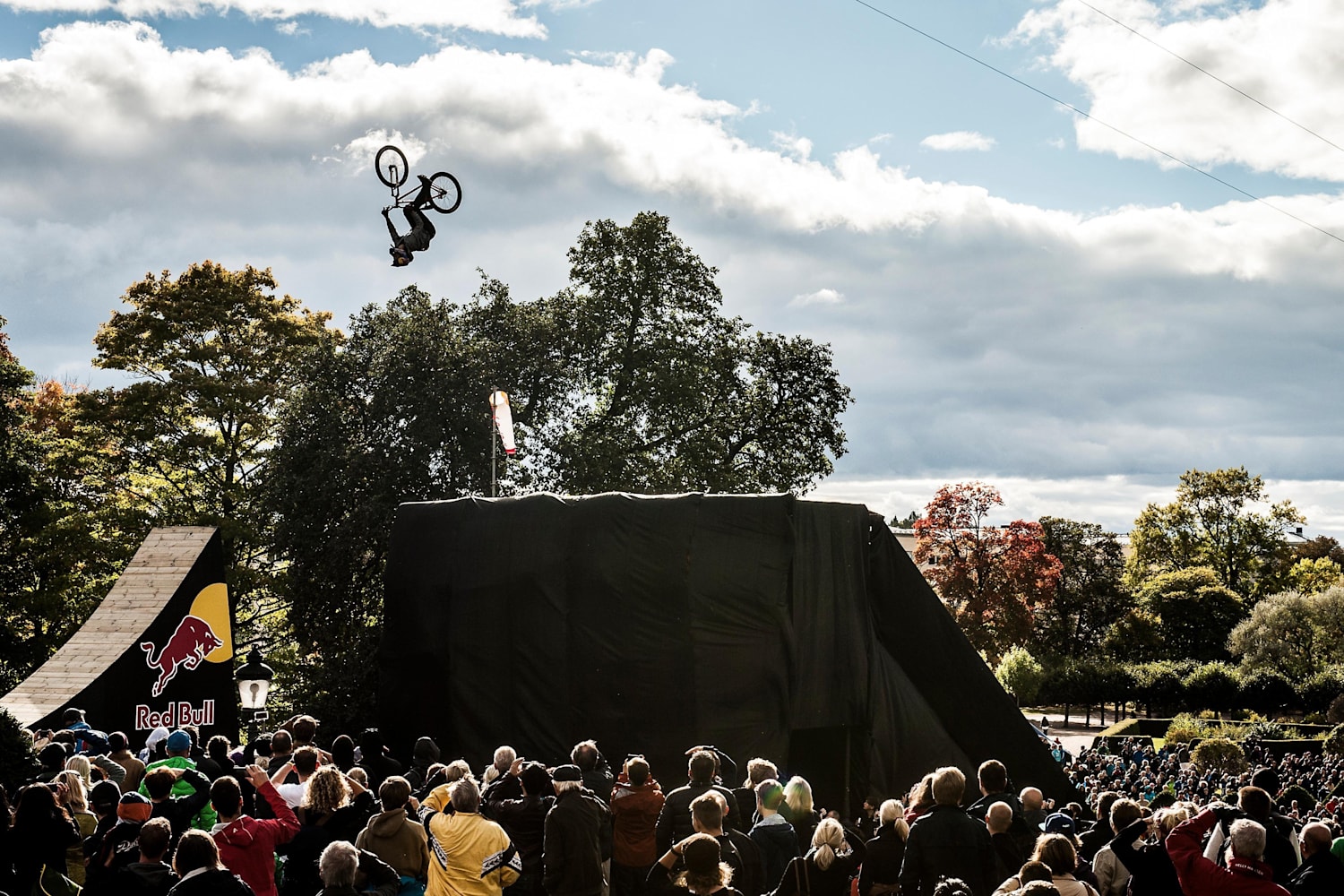Anton Thelander Incoronat Rege In Uppsala