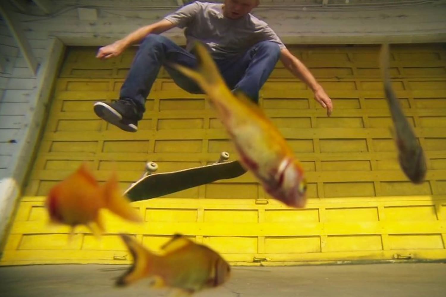 Skate Con Ojo De Pez