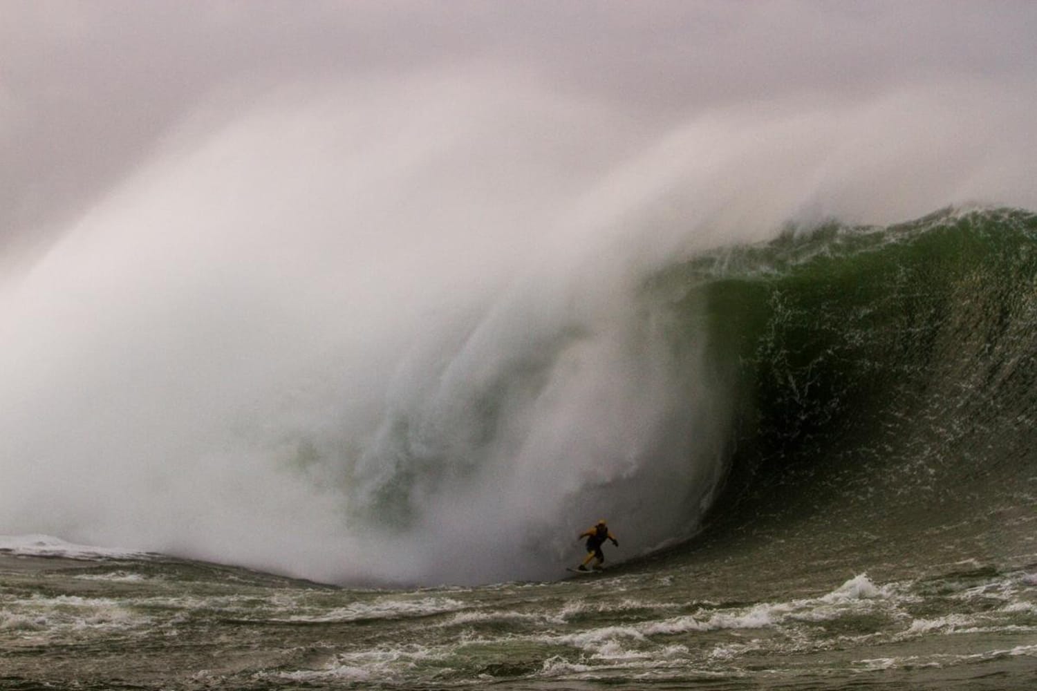 Harnessing Hercules On The Emerald Isle