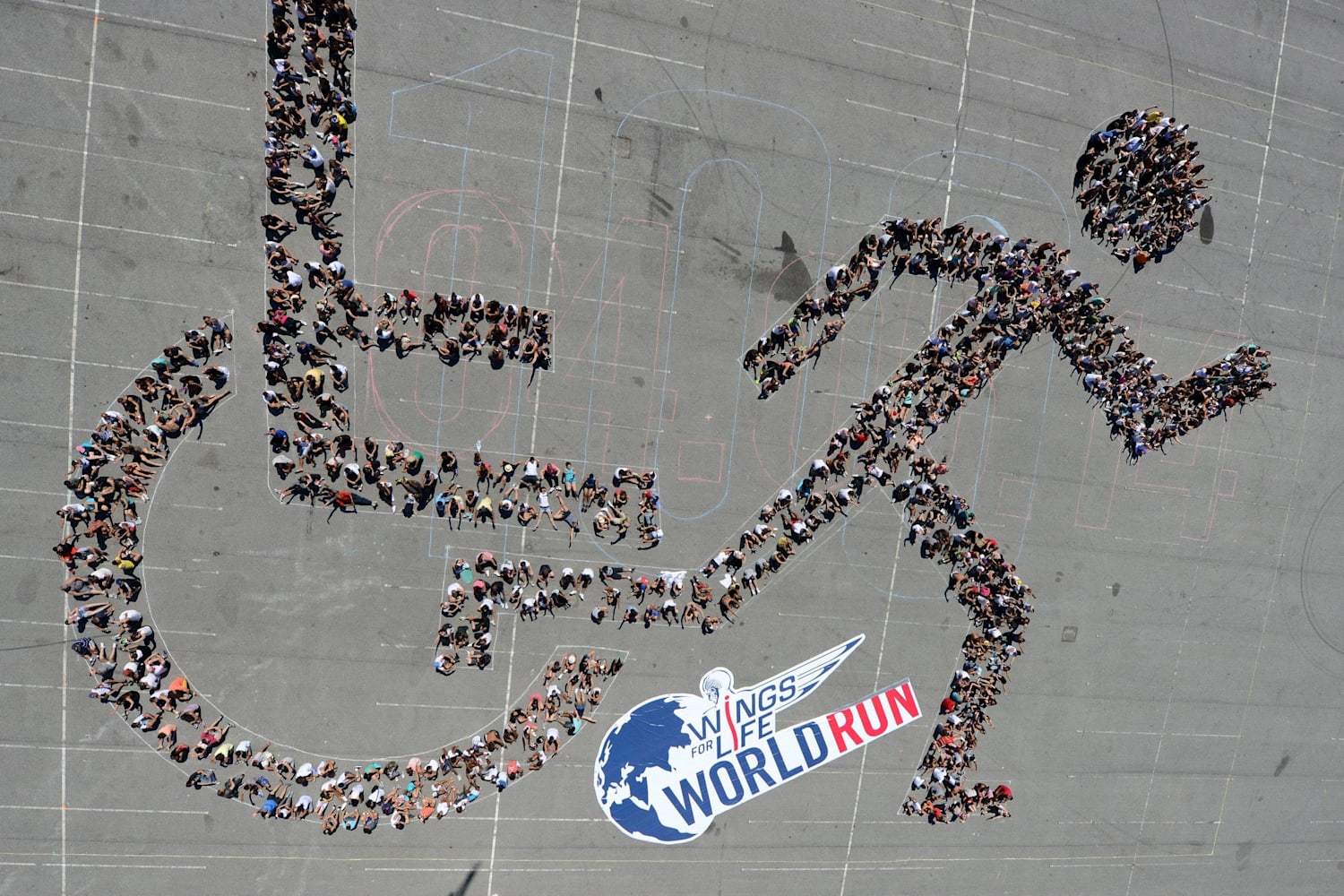 Wings for Life World Run Last chance to sign up!