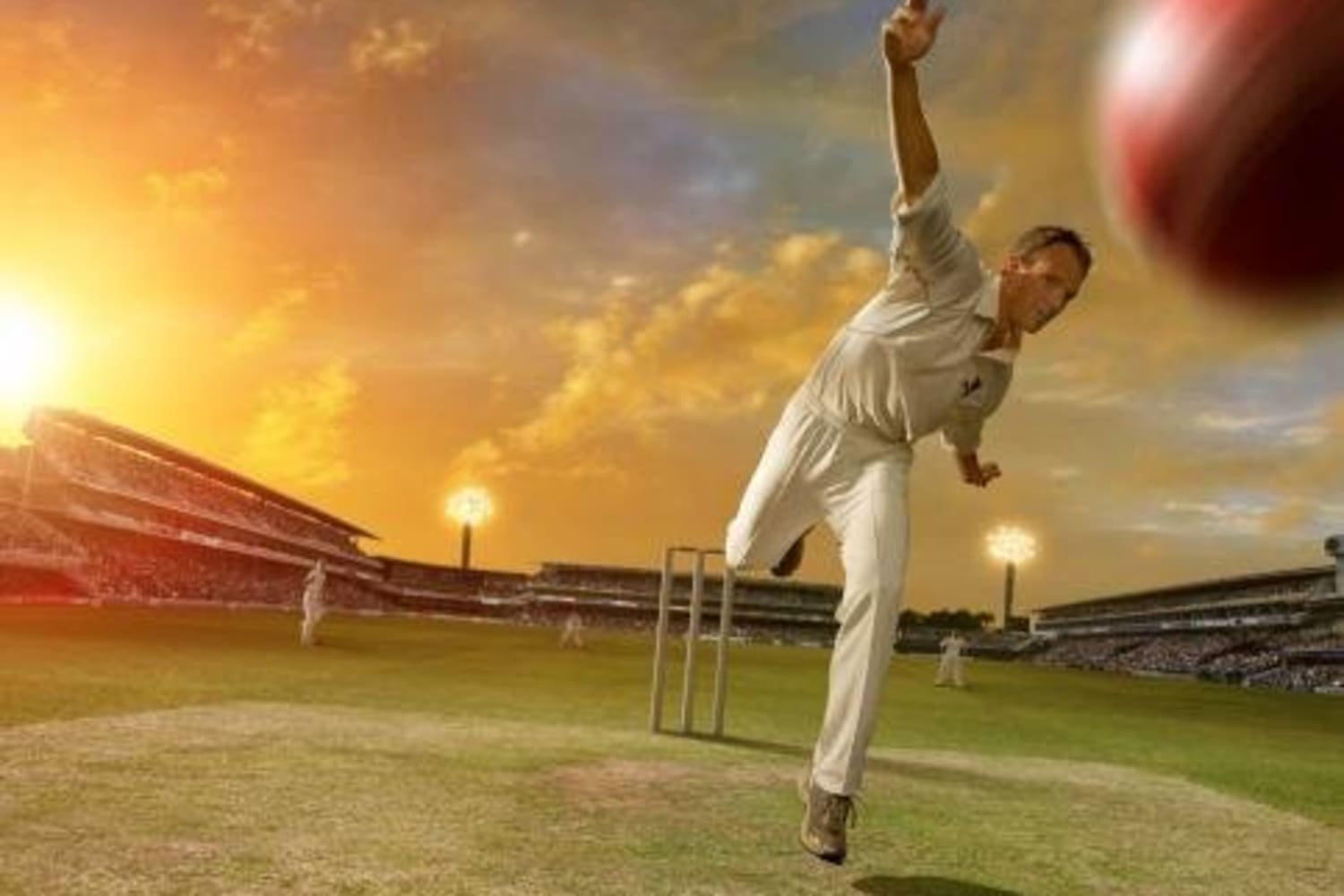 Cricket fantasy leagues India All you need to know