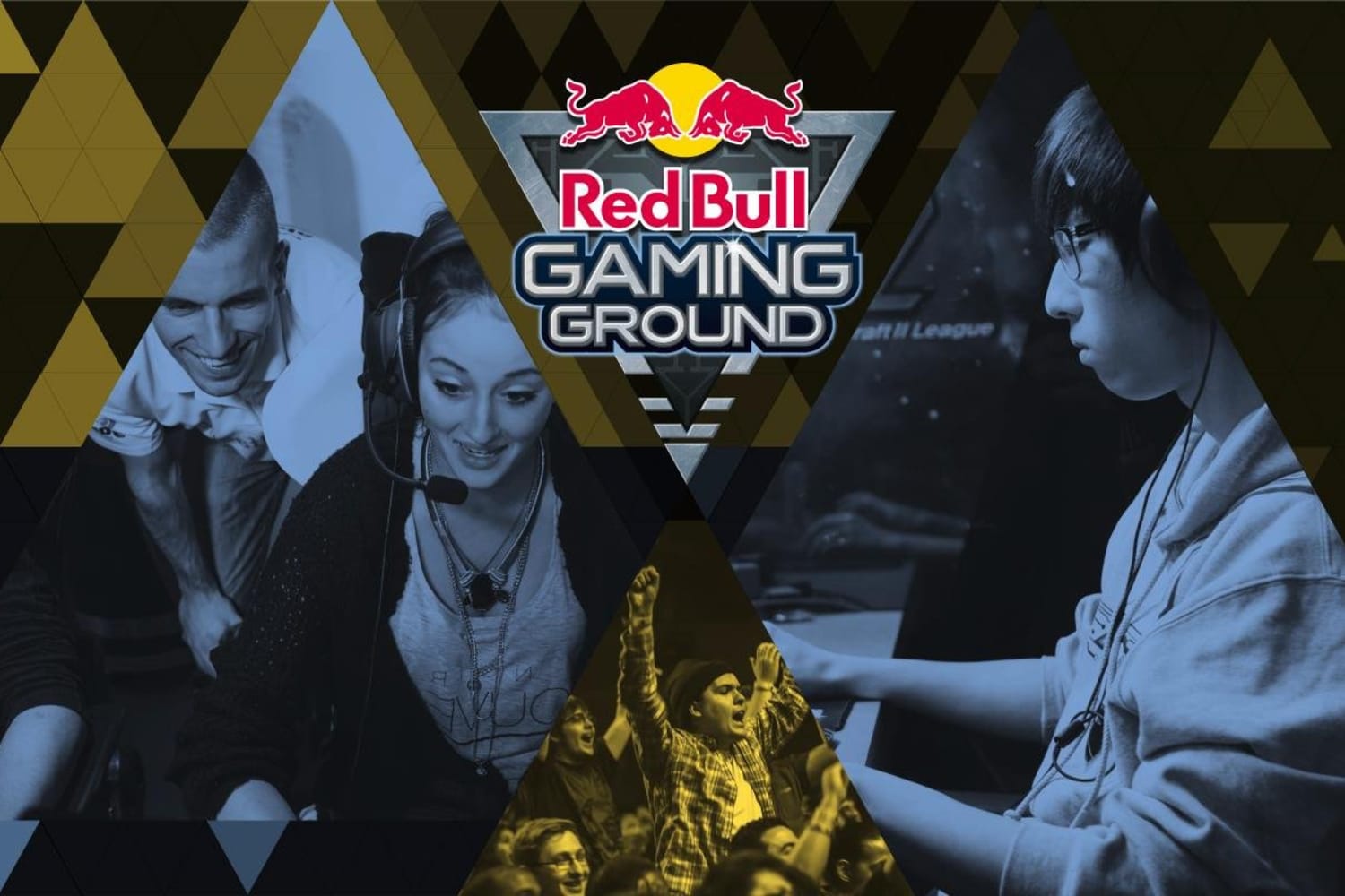 Red Bull Gaming Ground Teams & Coaches