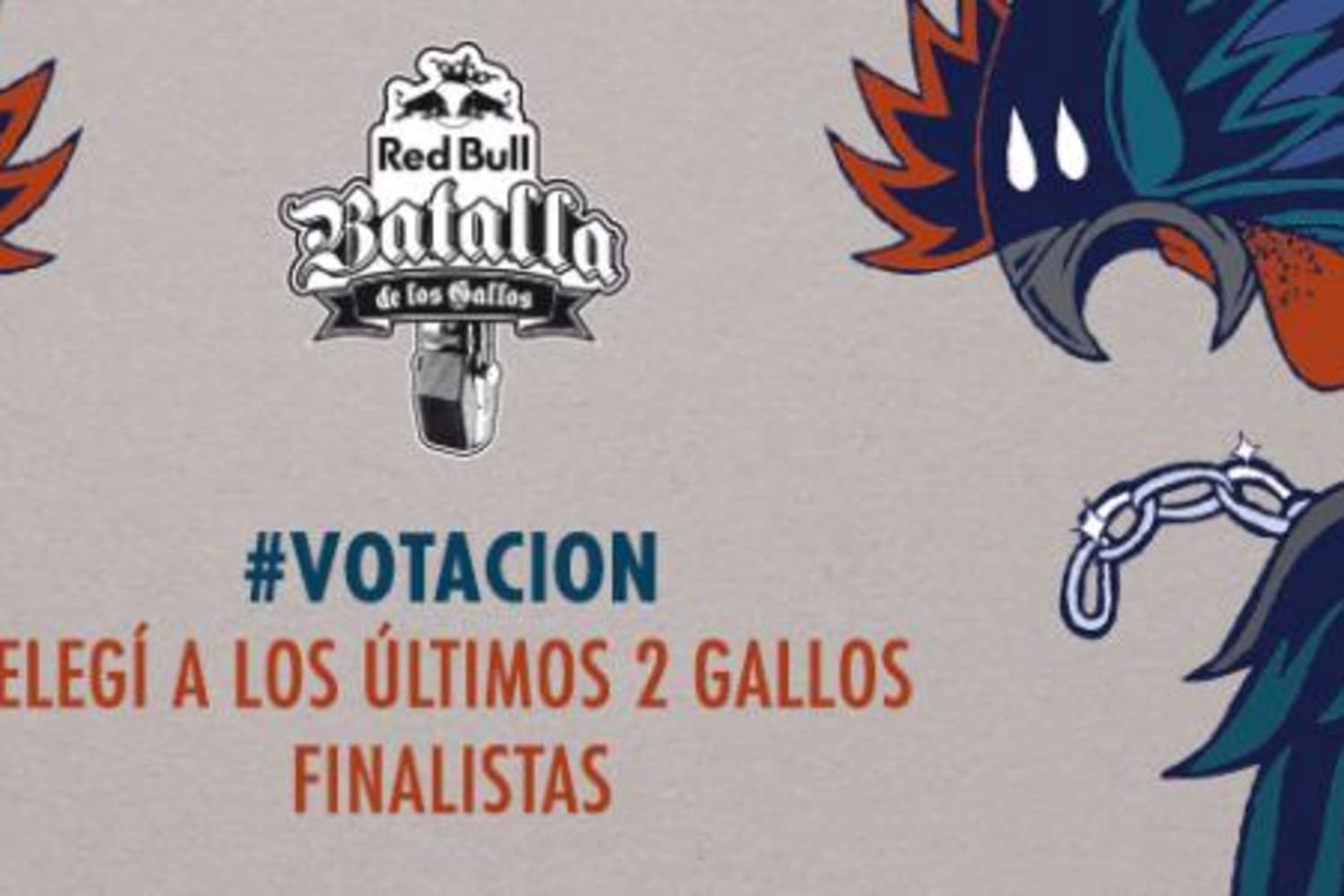Votá para elegir a los últimos dos gallos de la final