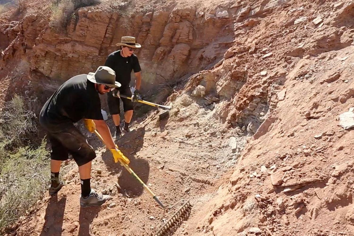 red bull rampage course