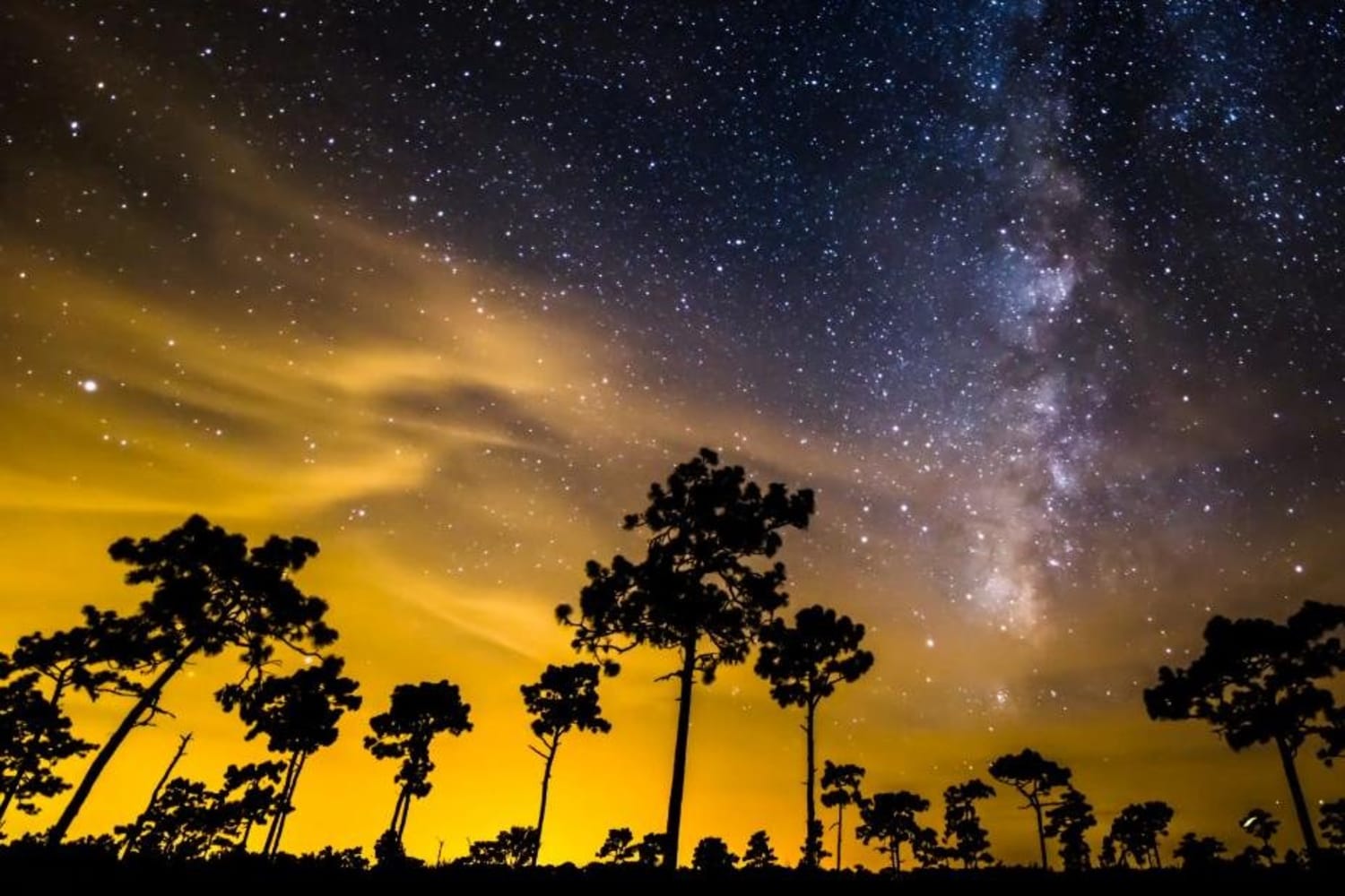 Best Time Lapse Videos 6 Incredible Nature Clips