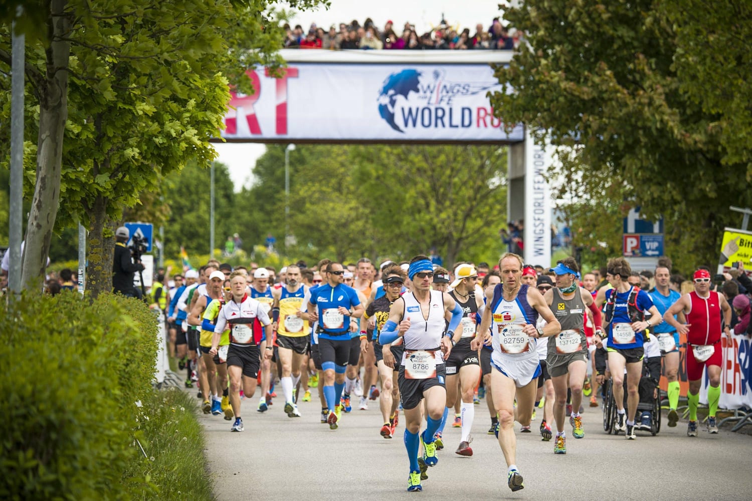 Wings For Life World Run 2015
