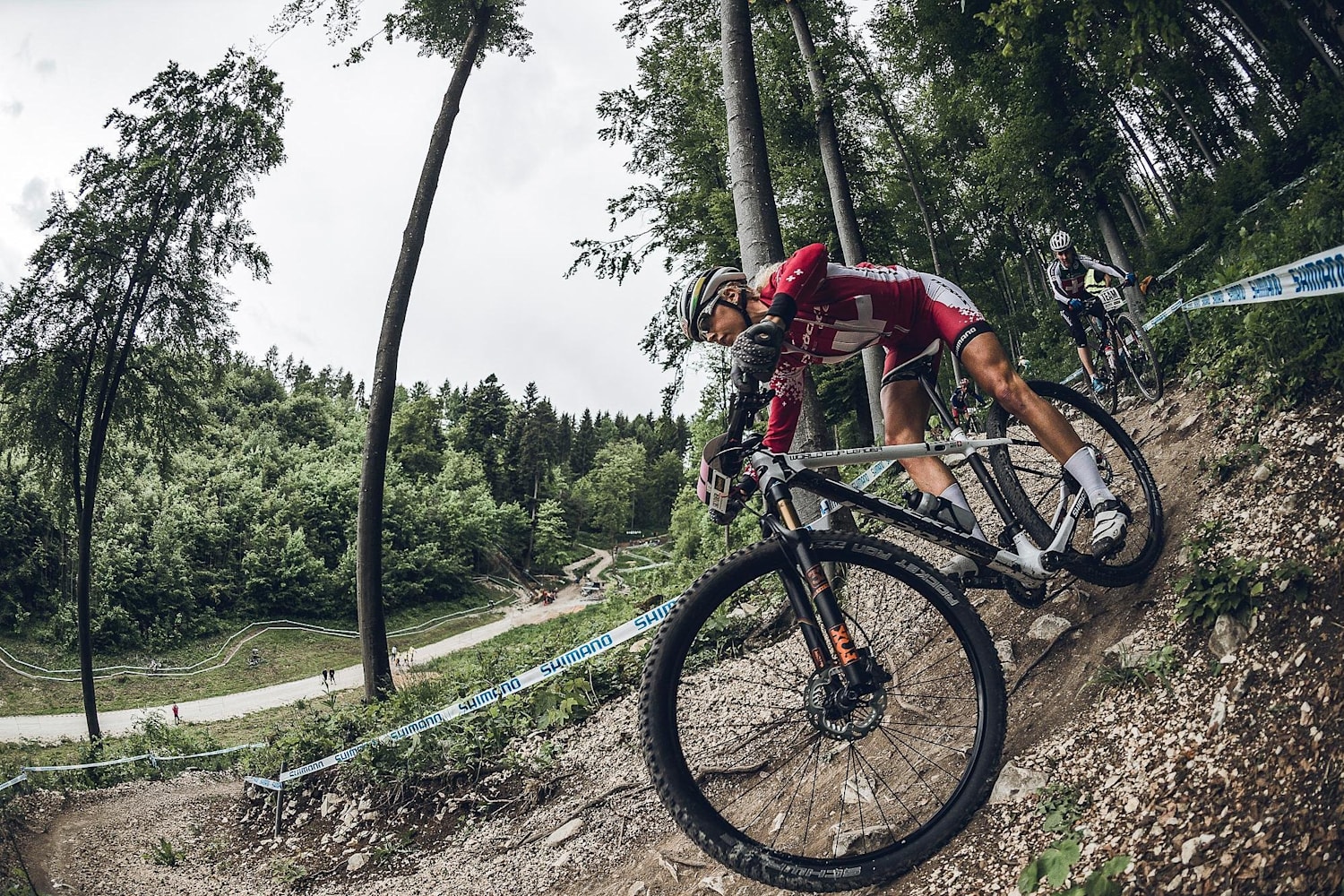 jolanda neff downhill