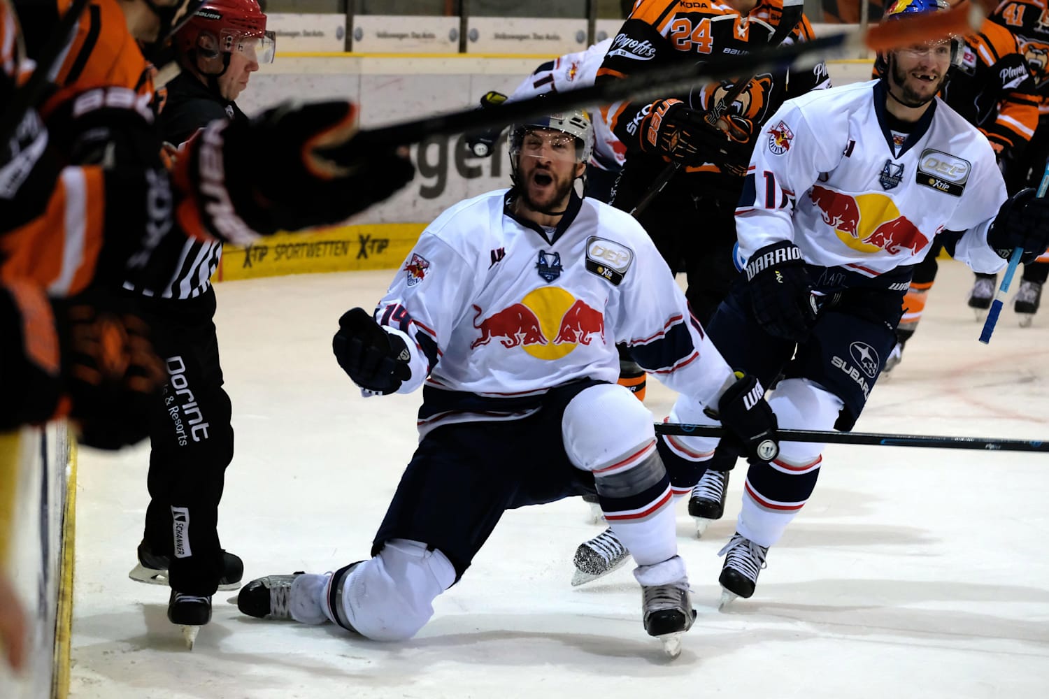 **LIVESTREAM** EHC Red Bull München DELFinale