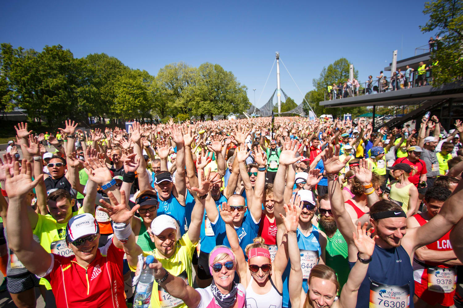 Best Moments from Wings for Life World Run