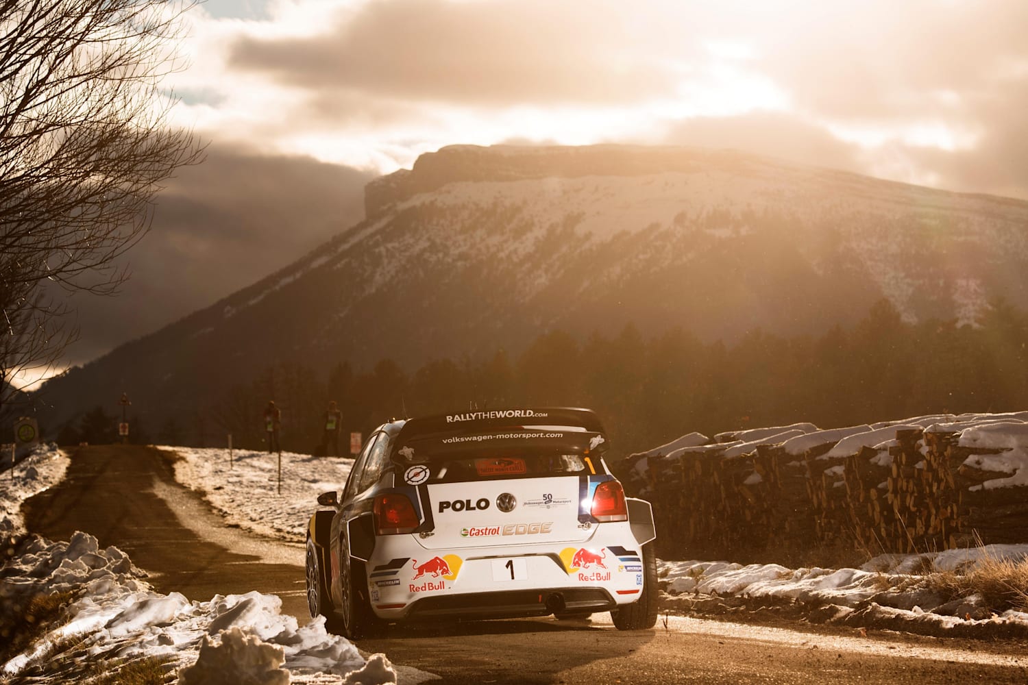 WRC 2016: Best rally photos – Jaanus Ree | Red Bull