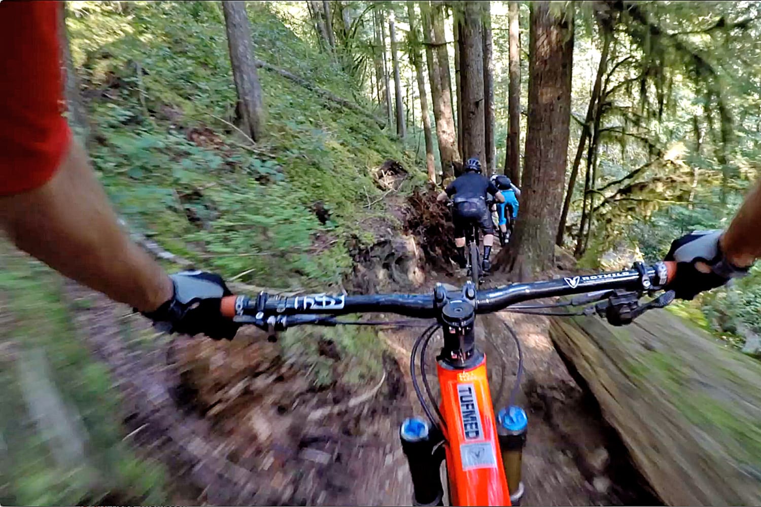 gnarly mtb