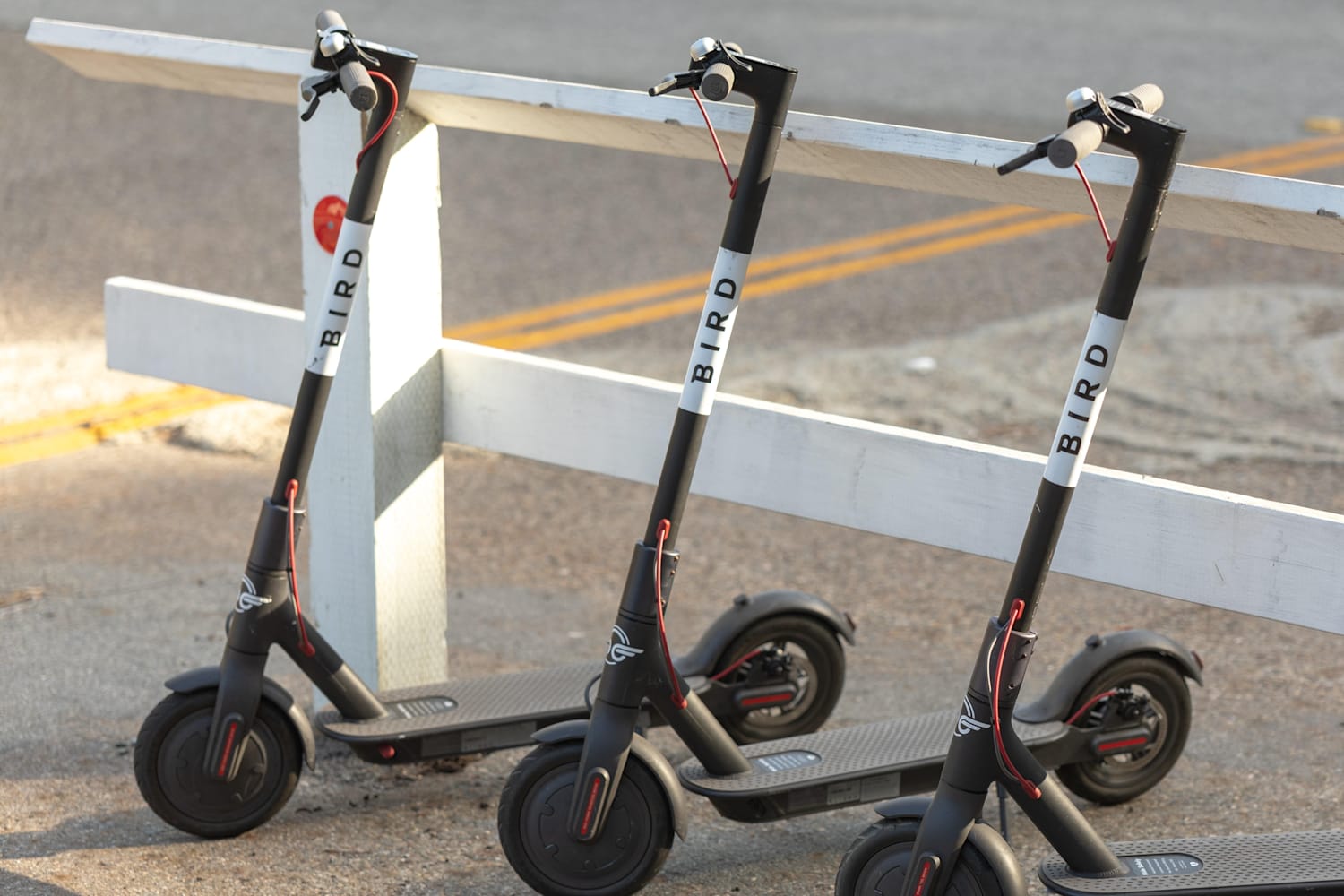 Technology Dockless Electric Scooter Scheme Red Bull
