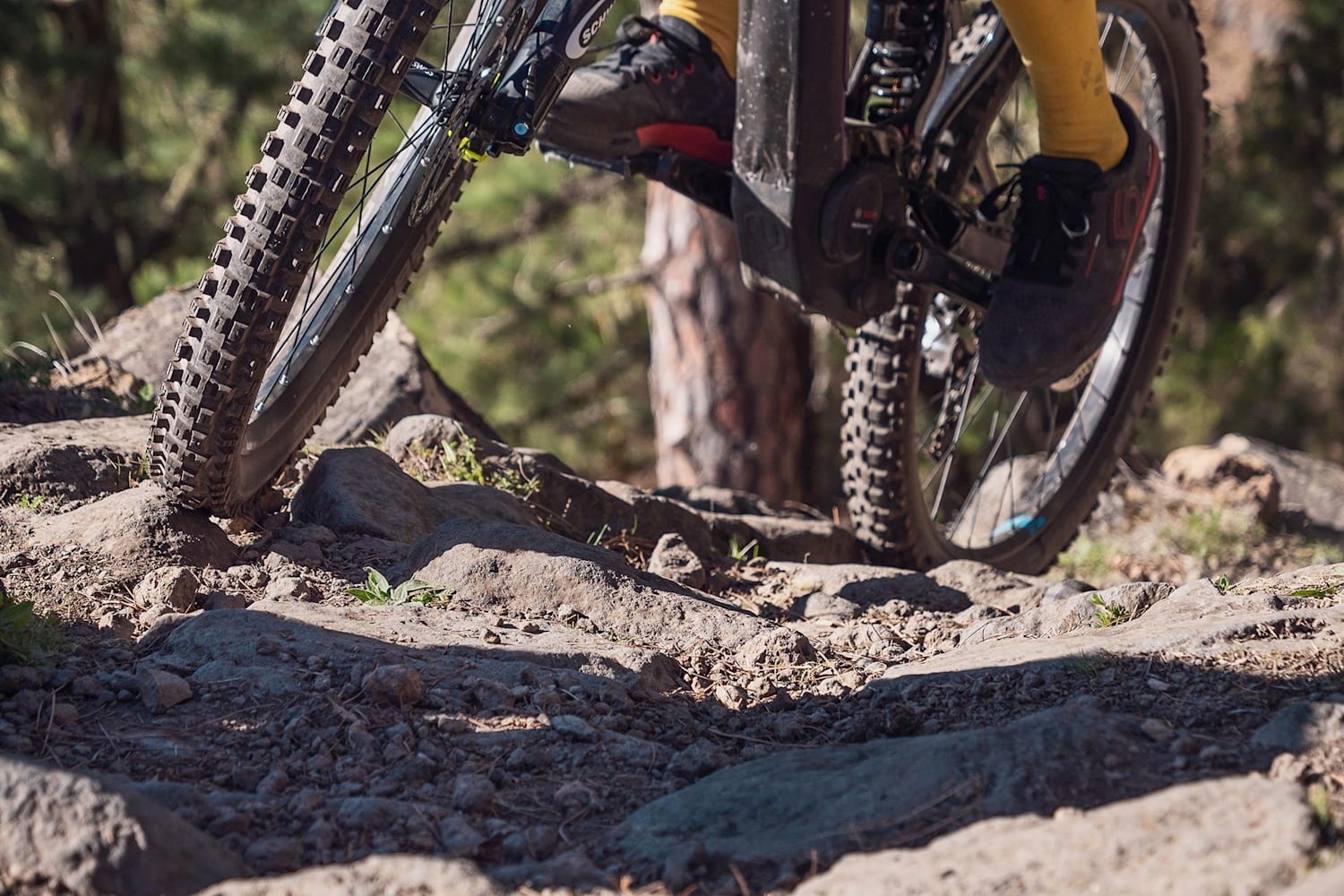 Guida Pratica Mtb Come Scegliere Le Gomme Della Bici