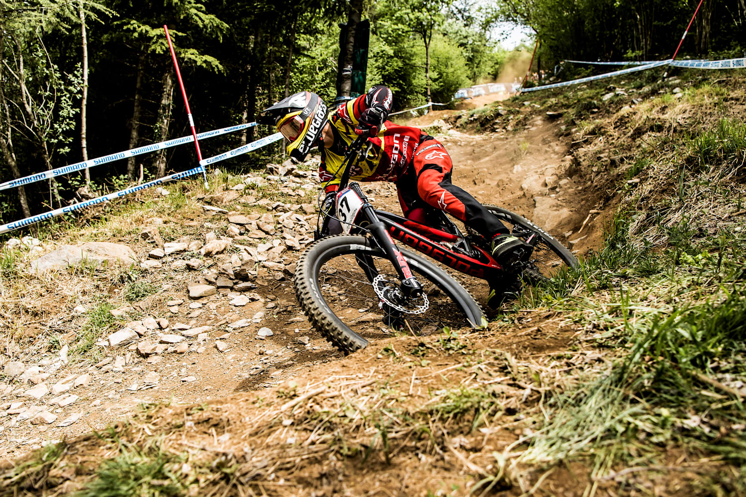 mercedes benz mountain bike