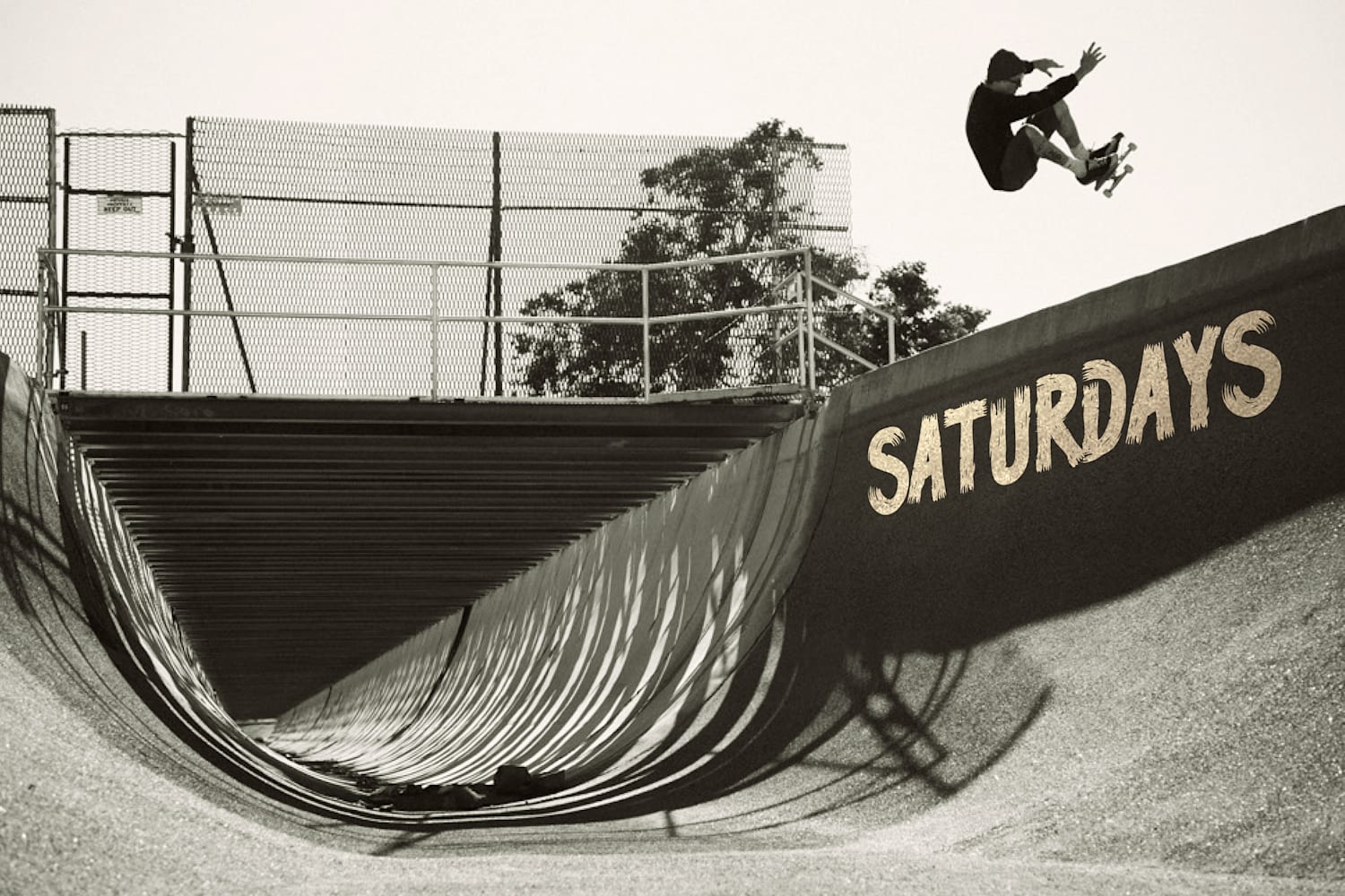 Saturdays Birdhouse Skateboards Tony Hawk Movie