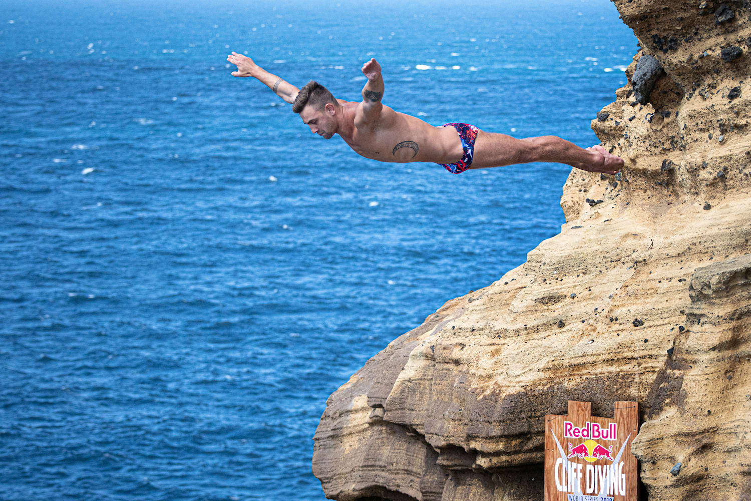 Diving highlights from the Azores