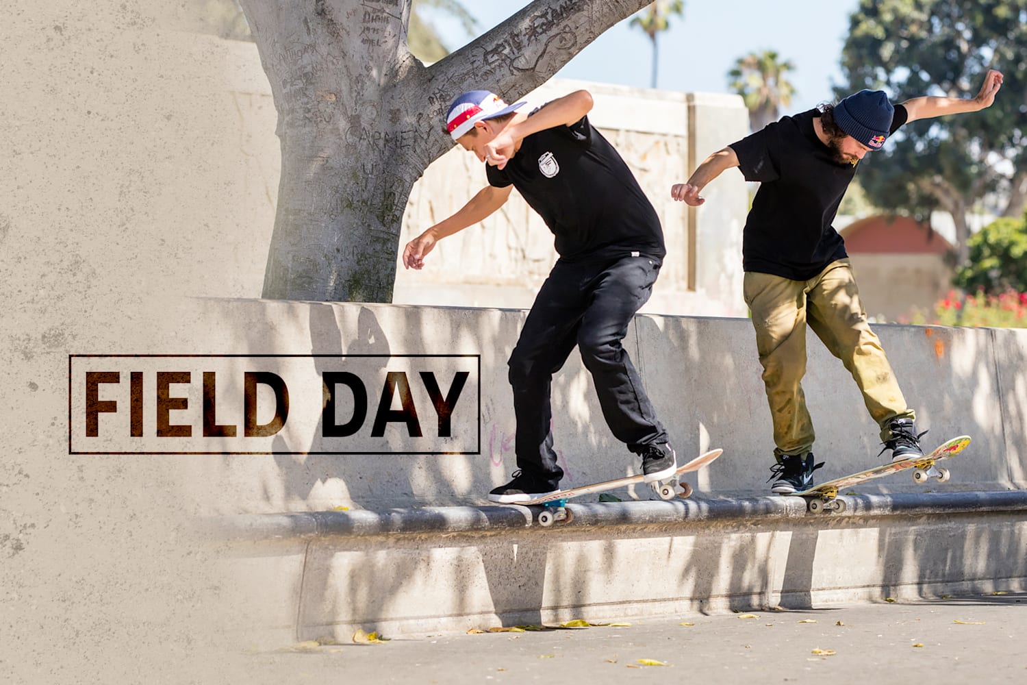 Field Day