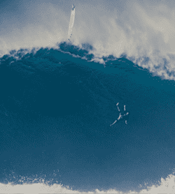 Jaws wipeout store
