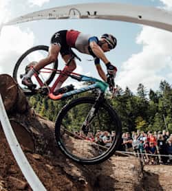 Red bull short track mtb discount
