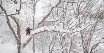 An image of freeskier Michelle Parker in the Red Bull TV series Next Generation: Originate skiing in a wood.