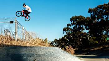 Bruno Hoffmann in California